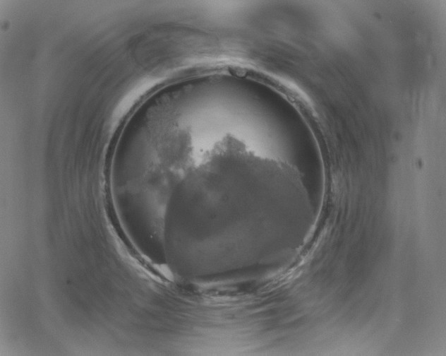 X0000063531279200601201449