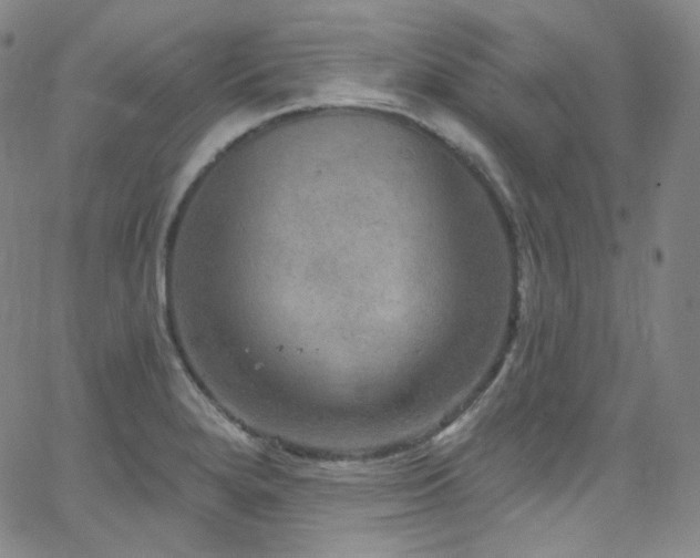 X0000063531280200601201449