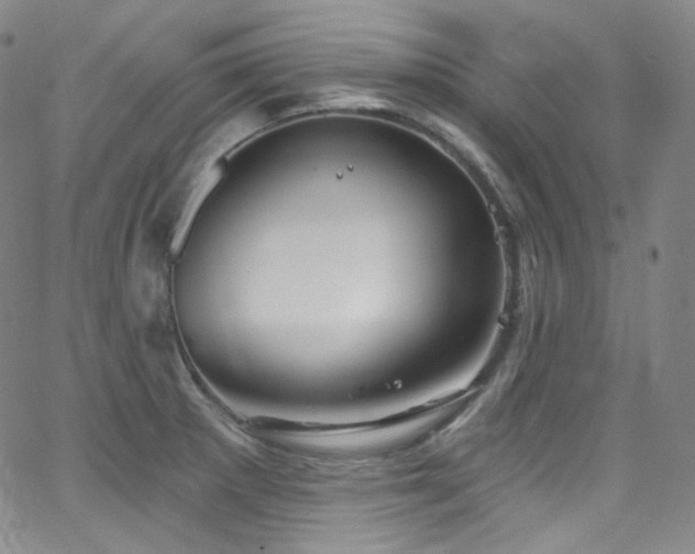 X0000063531281200601201449