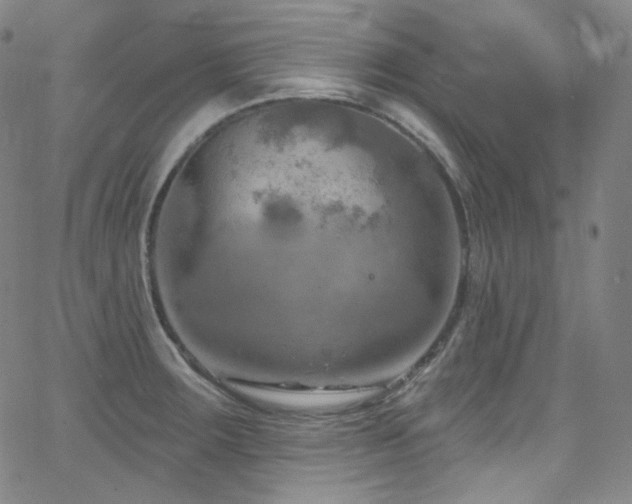 X0000063531283200601201449