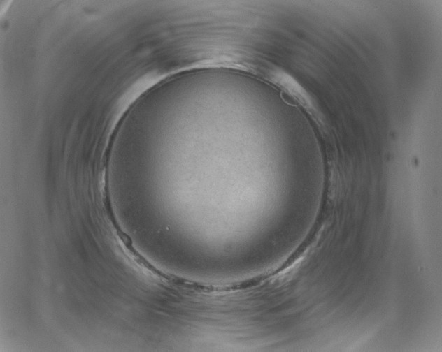 X0000063531284200601201449