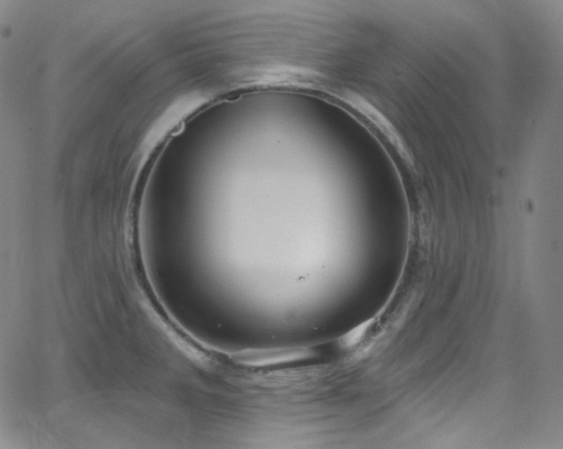 X0000063531285200601201449