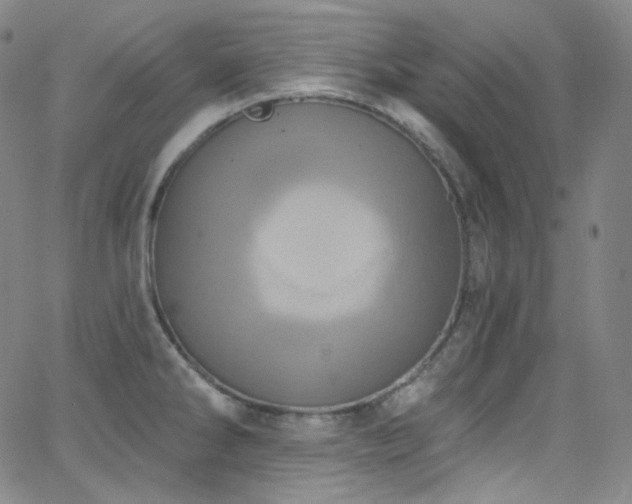 X0000063531286200601201449