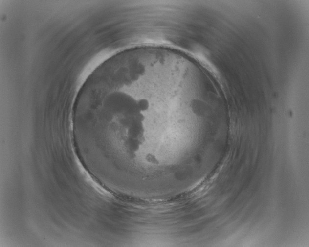 X0000063531287200601201449