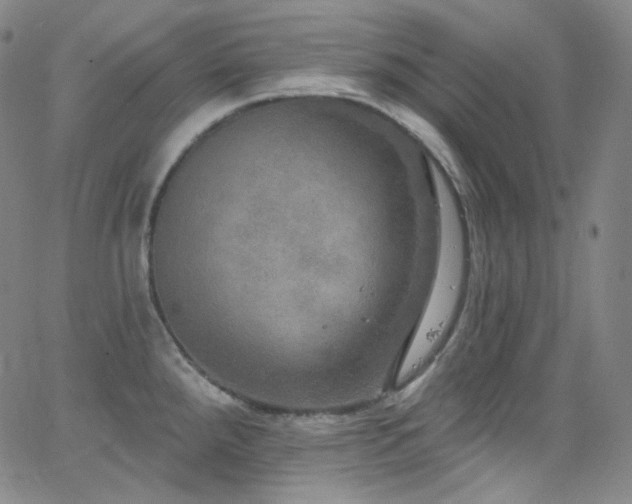 X0000063531288200601201449