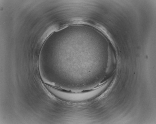 X0000063531289200601201449