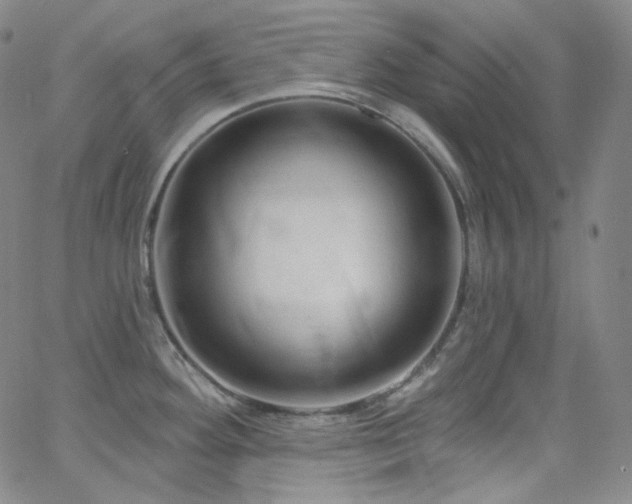 X0000063531292200601201449