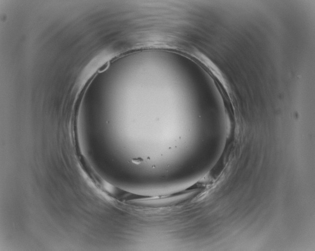 X0000063531293200601201449