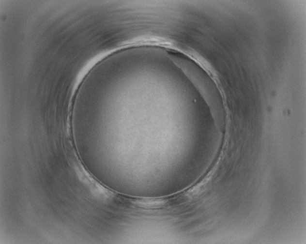 X0000063531296200601201449