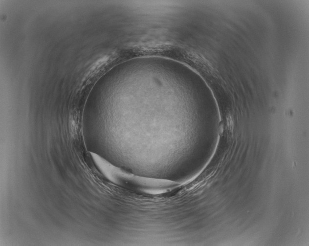 X0000063531300200601201448