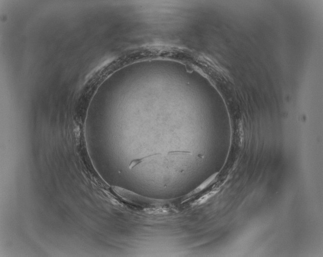 X0000063531302200601201448