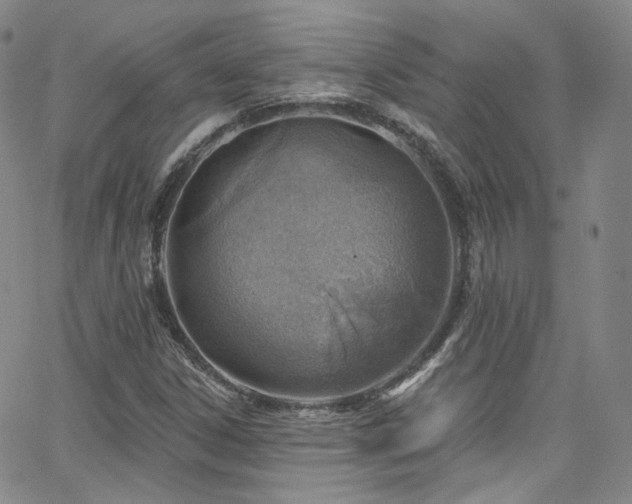 X0000063531306200601201448