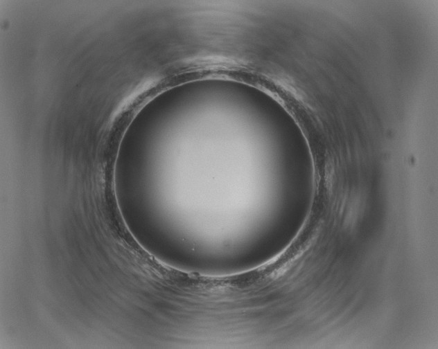 X0000063531309200601201448