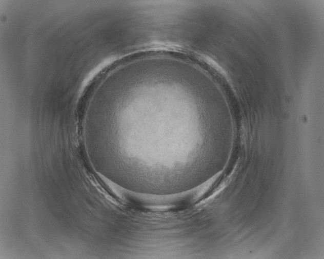 X0000063531310200601201448