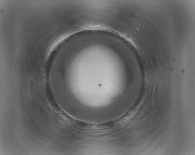 X0000063531311200601201448