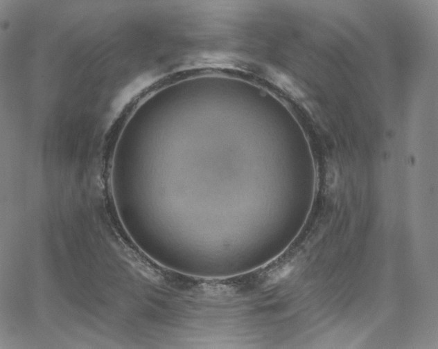 X0000063531312200601201448