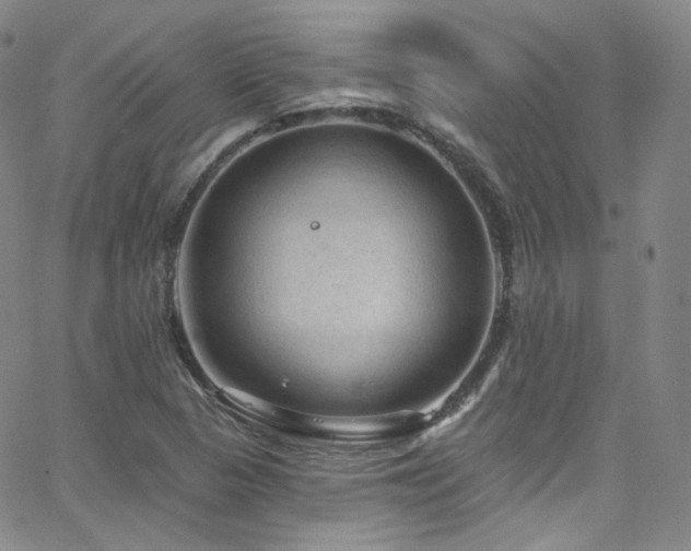 X0000063531313200601201448