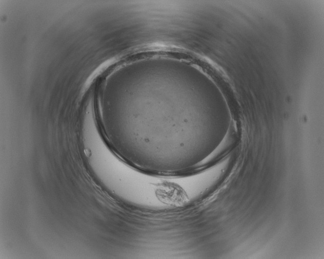 X0000063531314200601201448