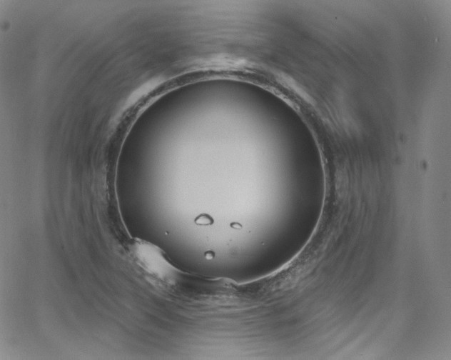 X0000063531315200601201448