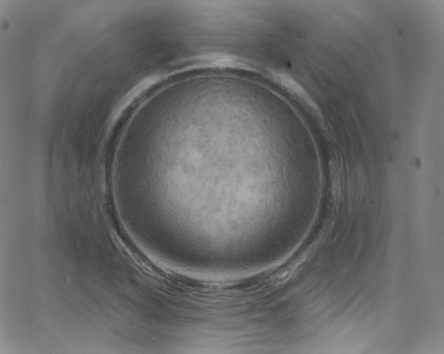 X0000063531318200601201448