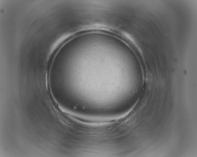 X0000063531320200601201448