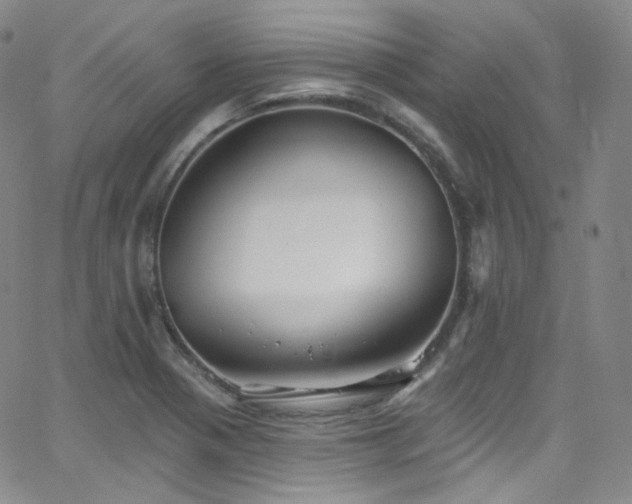 X0000063531321200601201448