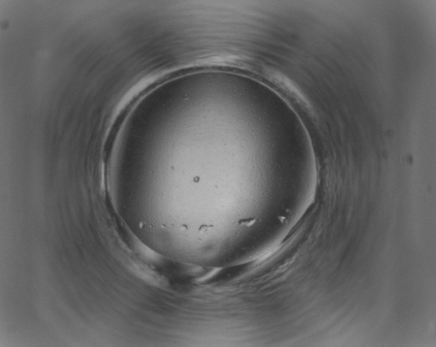 X0000063531324200601201448