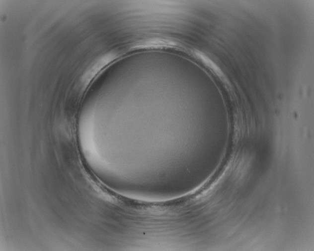 X0000063531329200601201448