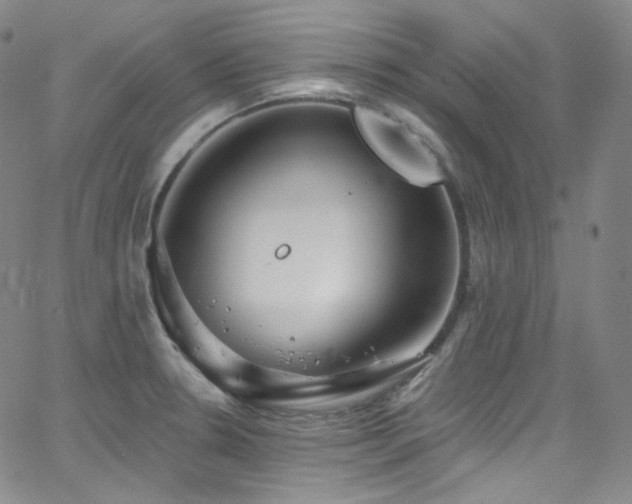 X0000063531330200601201448