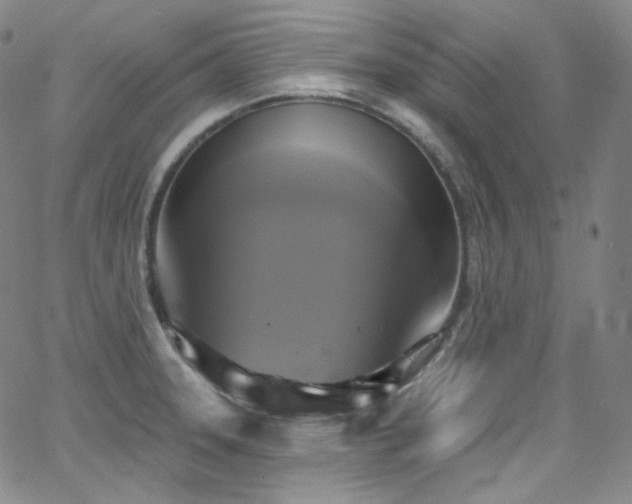 X0000063531331200601201448