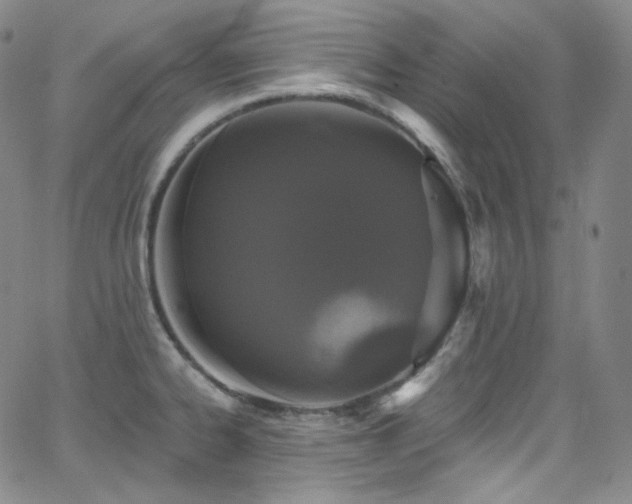 X0000063531334200601201448