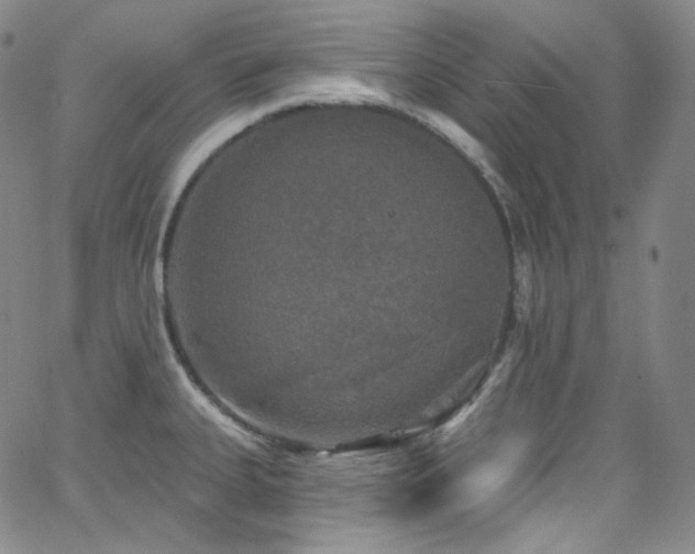 X0000063531335200601201448