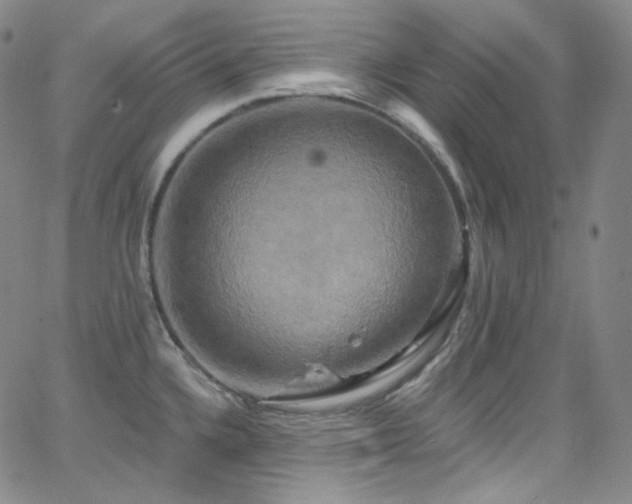 X0000063531336200601201448