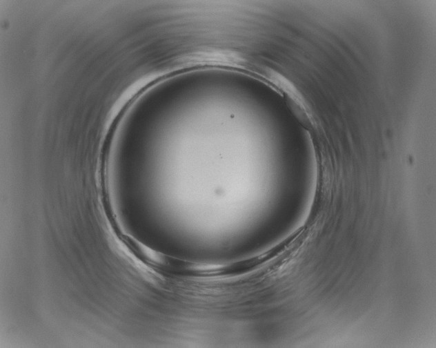 X0000063531339200601201449