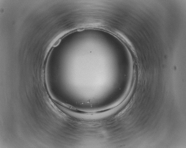 X0000063531340200601201449