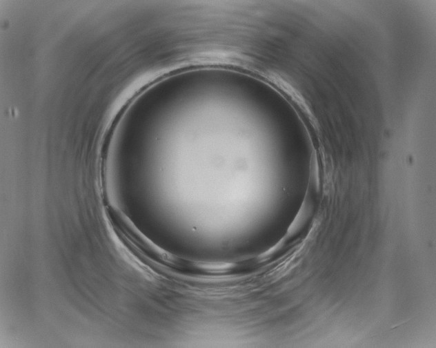 X0000063531342200601201449