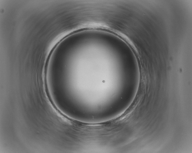 X0000063531343200601201449