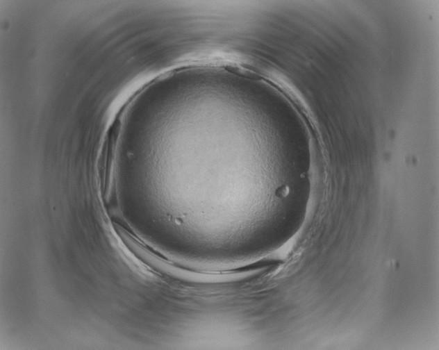 X0000063531344200601201449