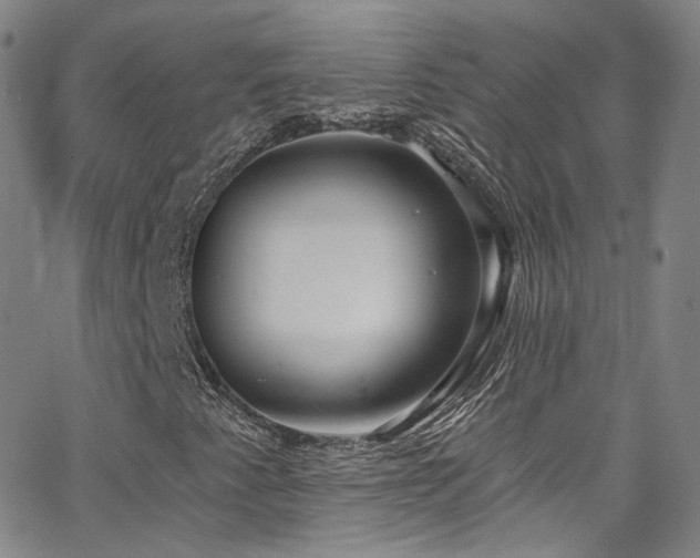 X0000063531345200601201448