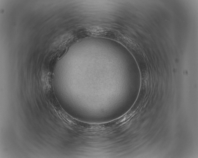 X0000063531346200601201448