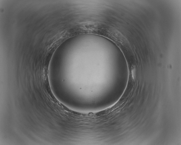 X0000063531347200601201448