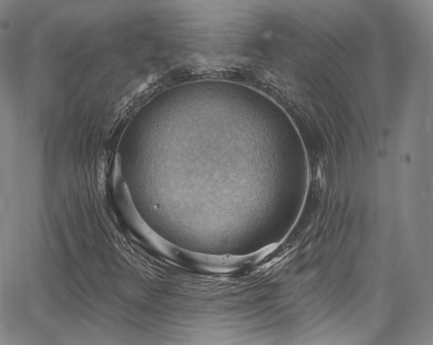 X0000063531348200601201448