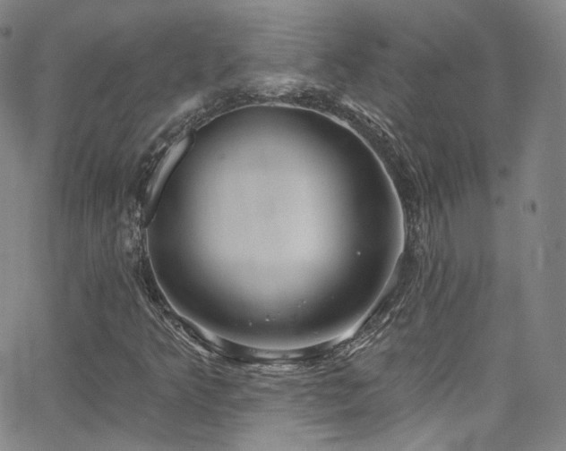 X0000063531349200601201448