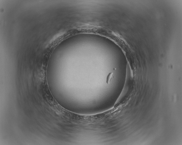 X0000063531350200601201448