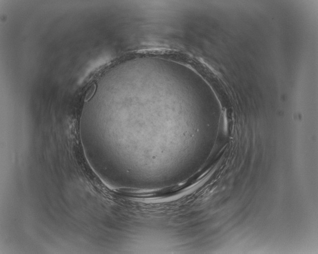 X0000063531351200601201448