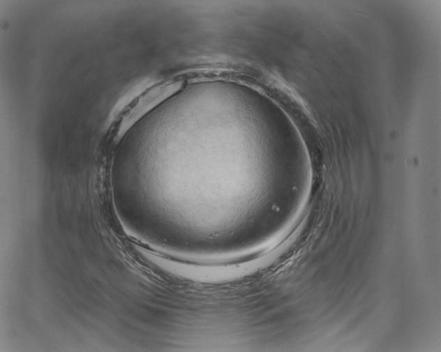 X0000063531352200601201448