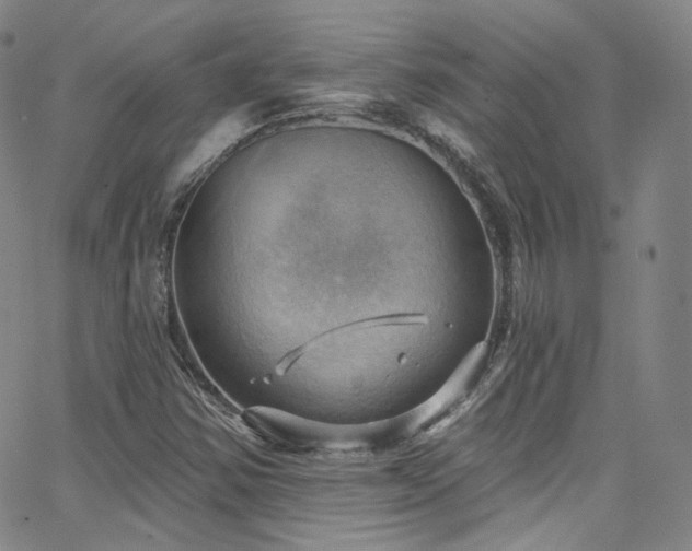 X0000063531354200601201448