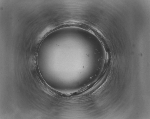 X0000063531355200601201448