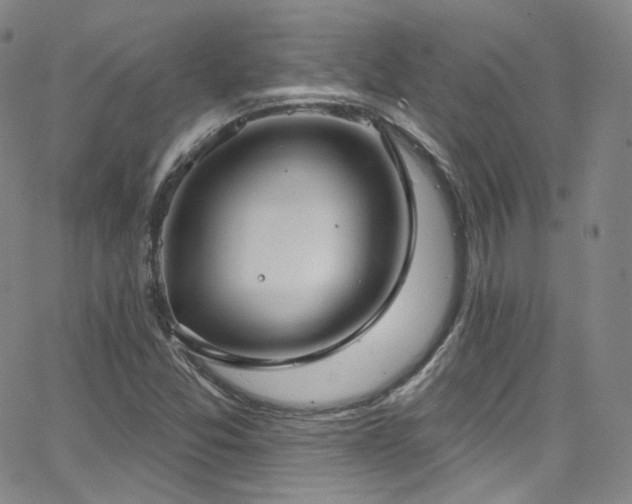 X0000063531357200601201448