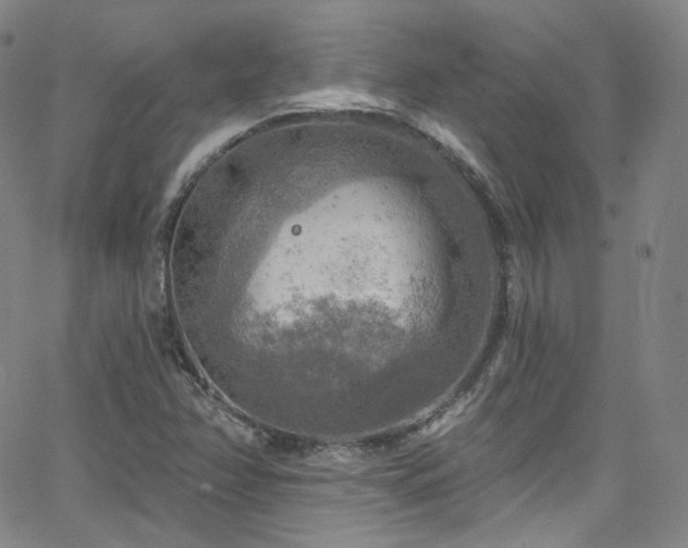 X0000063531358200601201448